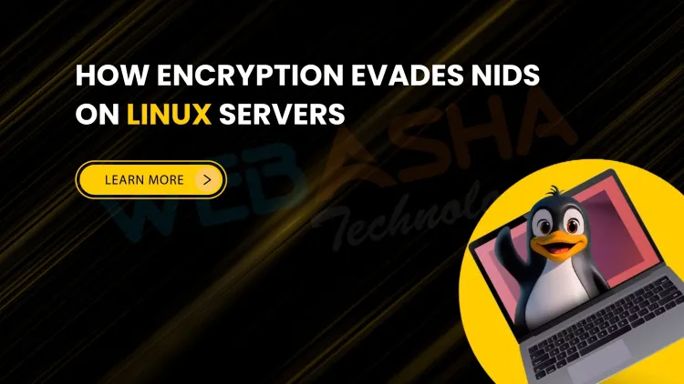 How Encryption Helps Attackers Evade NIDS Detection on Linux Servers | The Detailed Guide