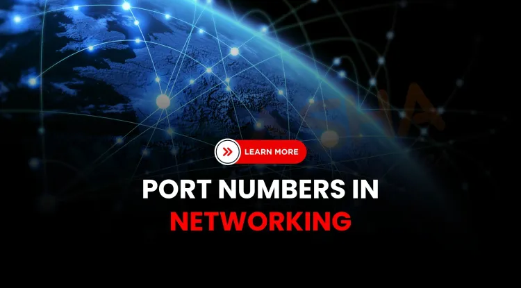 What Are the Old and New Port Numbers in Networking? Complete List of Protocol Ports and Their Updated Uses (2026 Guide)