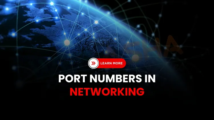 What Are the Old and New Port Numbers in Networking? Complete List of Protocol Ports and Their Updated Uses (2026 Guide)