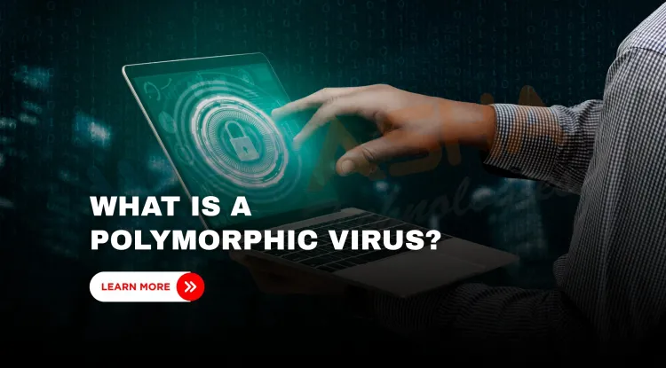 What Is a Polymorphic Virus in Cybersecurity? A Complete Guide to Detection, Protection, and Real-World Threats