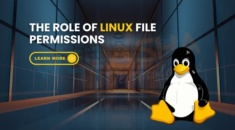 What is the role of Linux file permissions in cybersecurity? The Detailed Guide