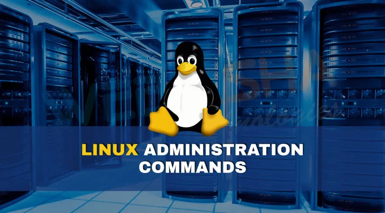 What are the most useful Linux system administration commands and how do they work?