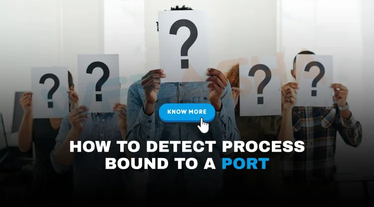How can I check which process is using a specific port on my system?