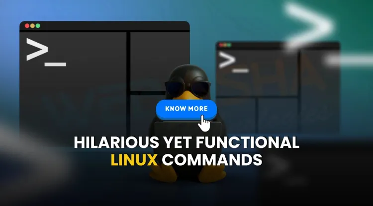 What are the funniest Linux commands that actually work?