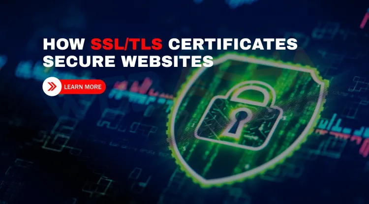How does an SSL/TLS certificate work to secure a website connection?