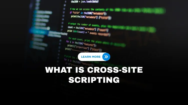 What is Cross-Site Scripting (XSS) and how can it be prevented? The Detailed Guide